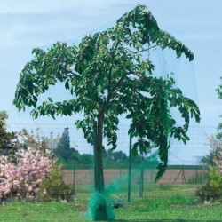 Rede anti-pássaros verde 2x5m